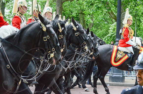 Trooping the Colour