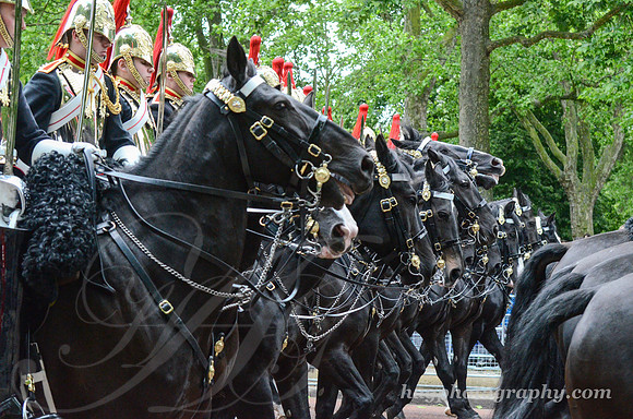 Trooping the Colour