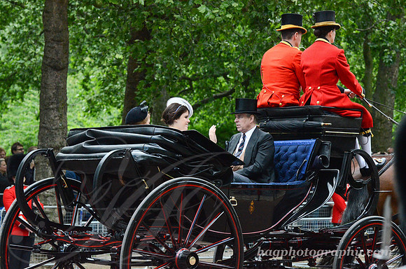 Trooping the Colour