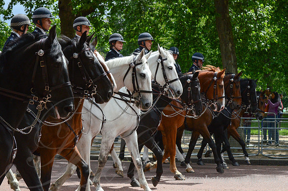 Trooping the Colour